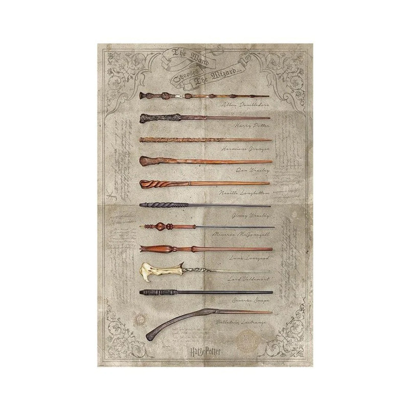 Harry Potter - The Wand Chooses The Wizard Maxi Posters - أكسسوار